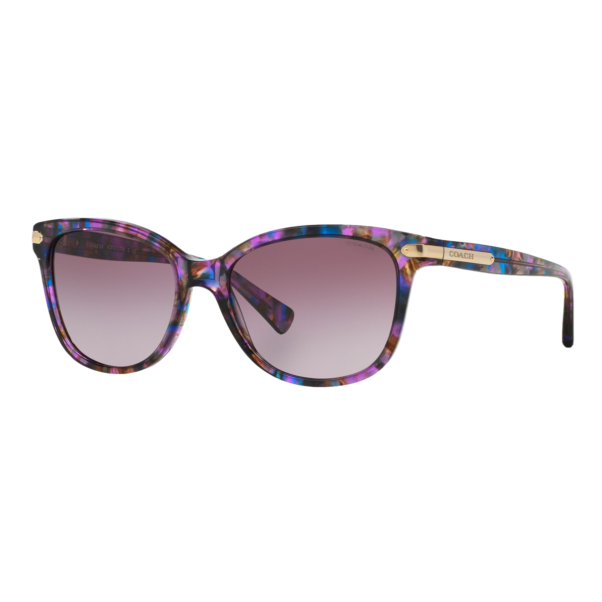 Women's HC8132 Sunglasses