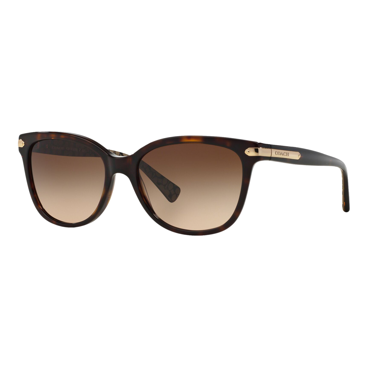 Women's HC8132 Sunglasses