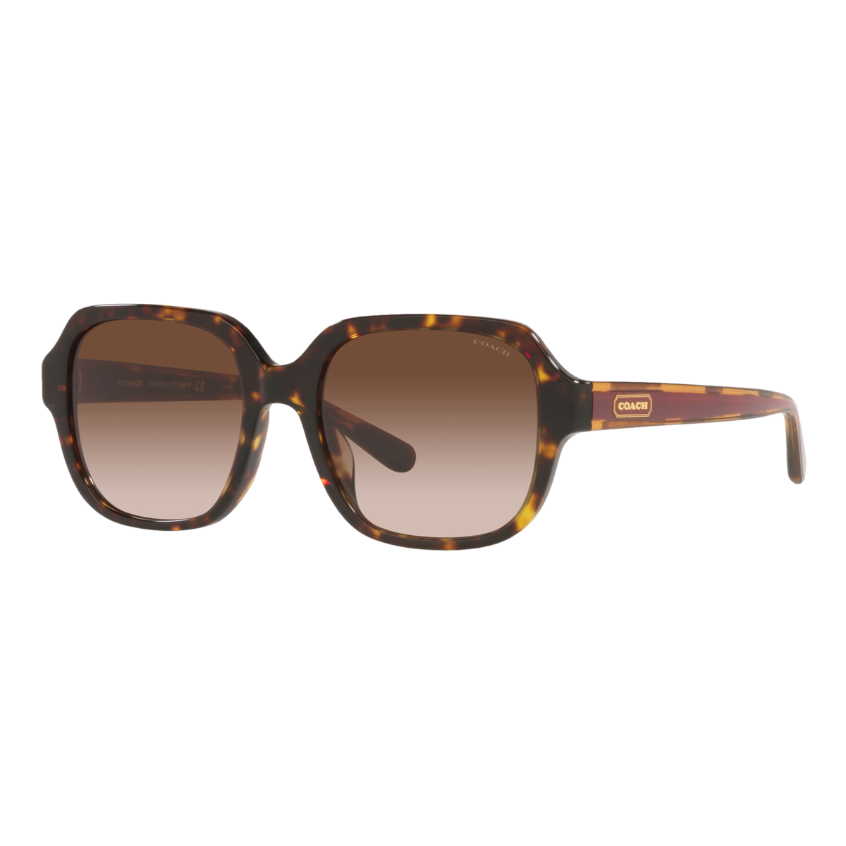 Women's Square Sunglasses
