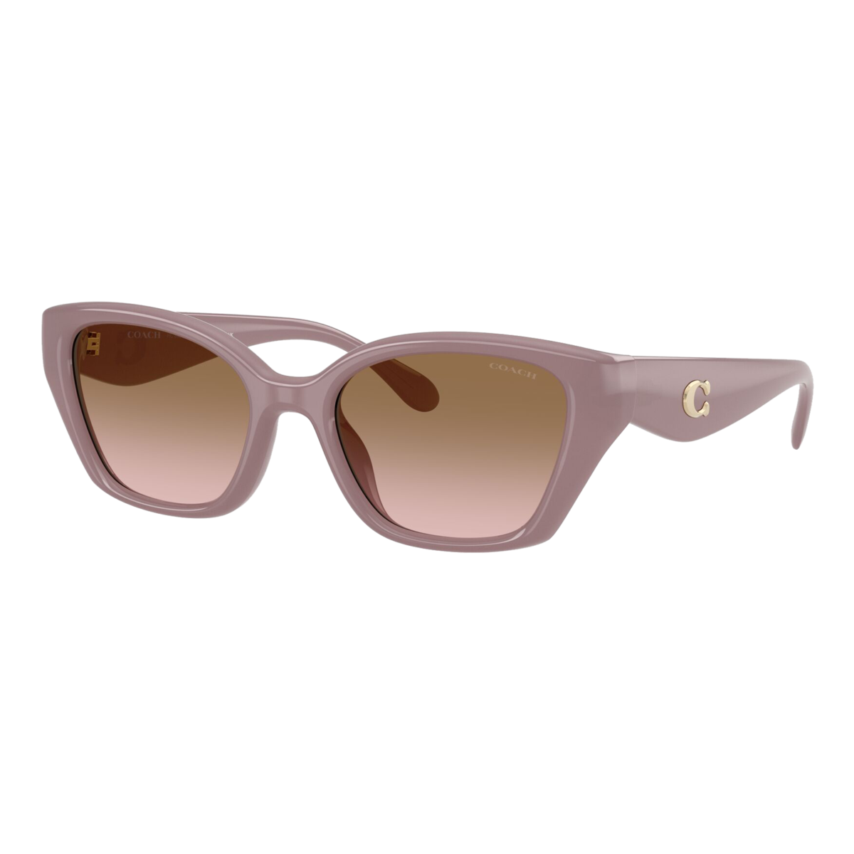Women's C Hardware Square Cat Eye Sunglasses