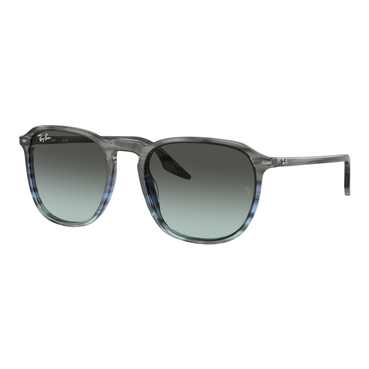 RB2203 Sunglasses