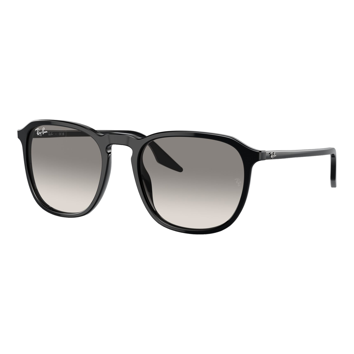 RB2203 Sunglasses