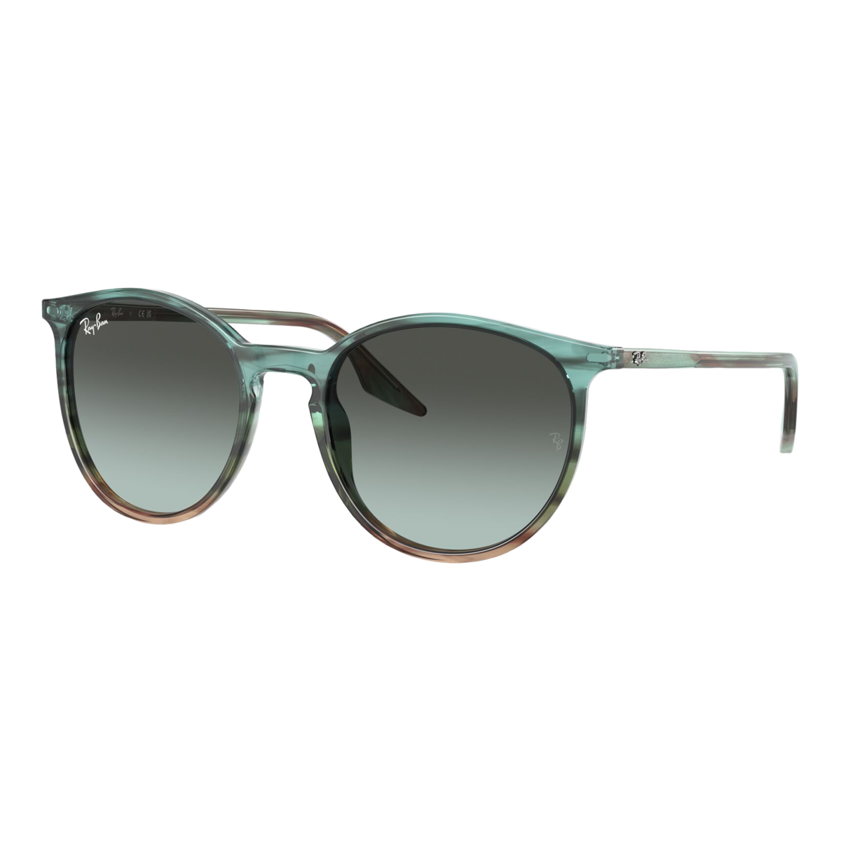 RB2204 Sunglasses