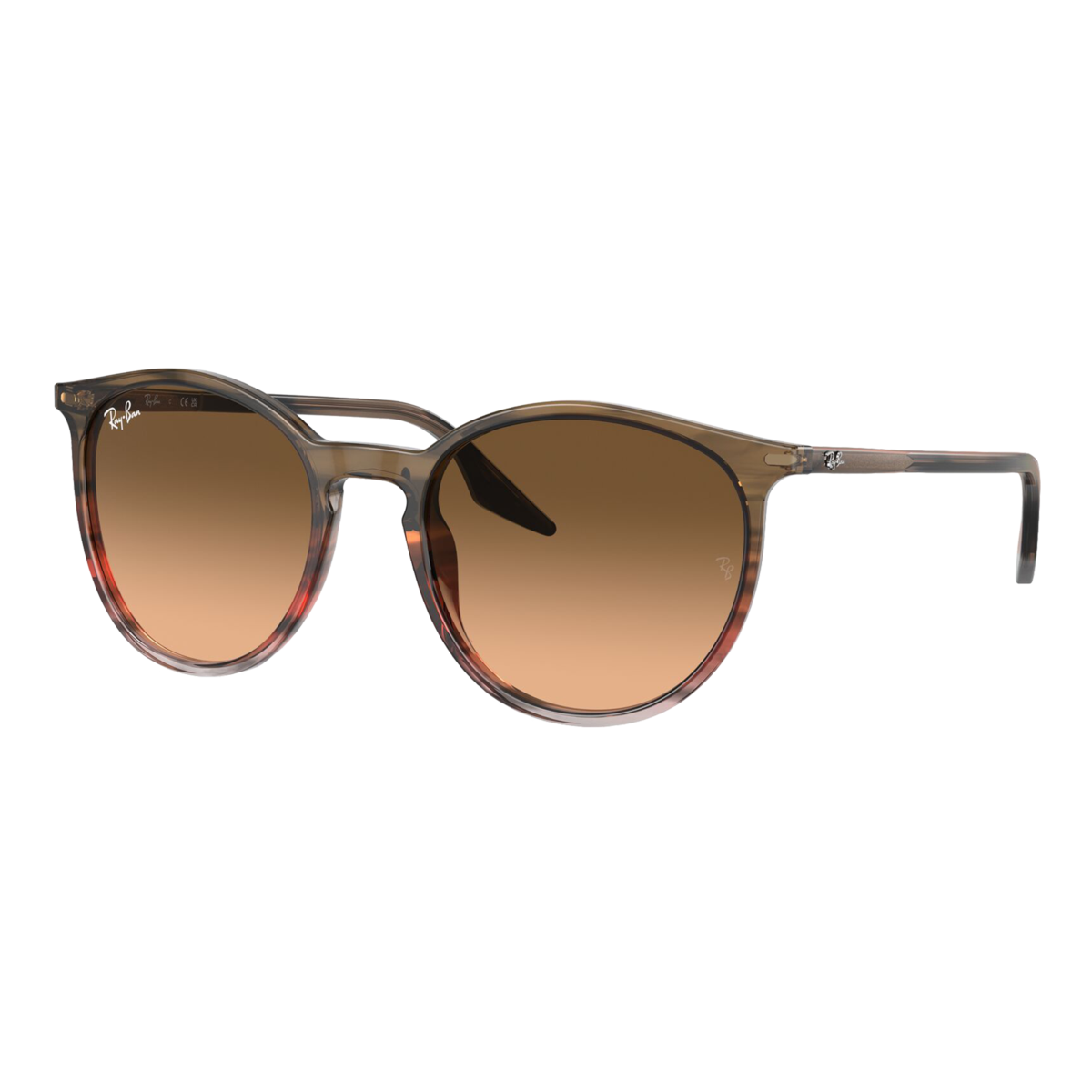 RB2204 Sunglasses