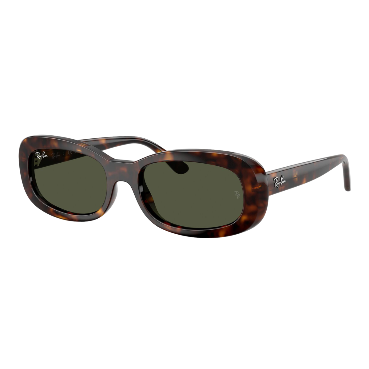 Women's RB2221 Sunglasses