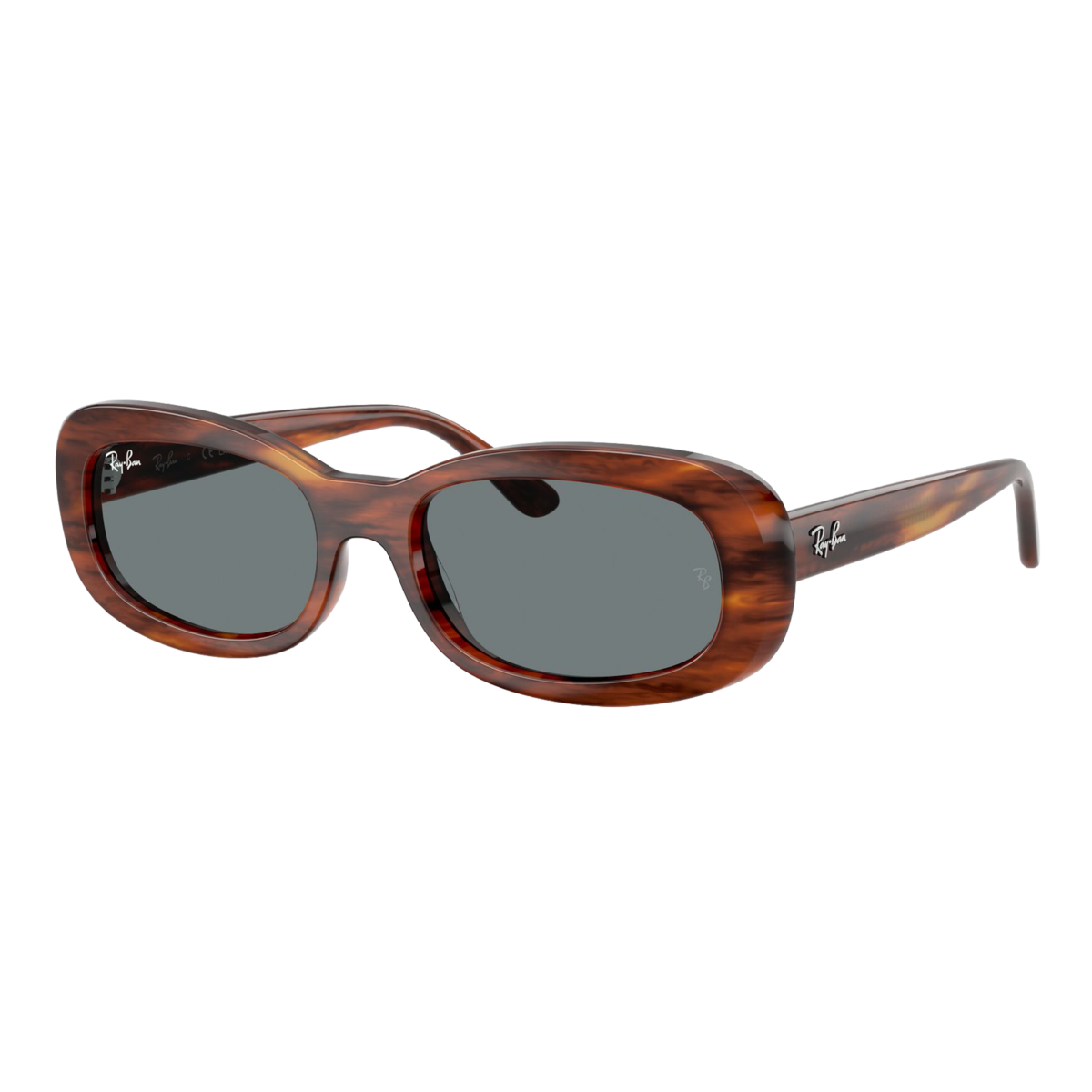 Women's RB2221 Sunglasses