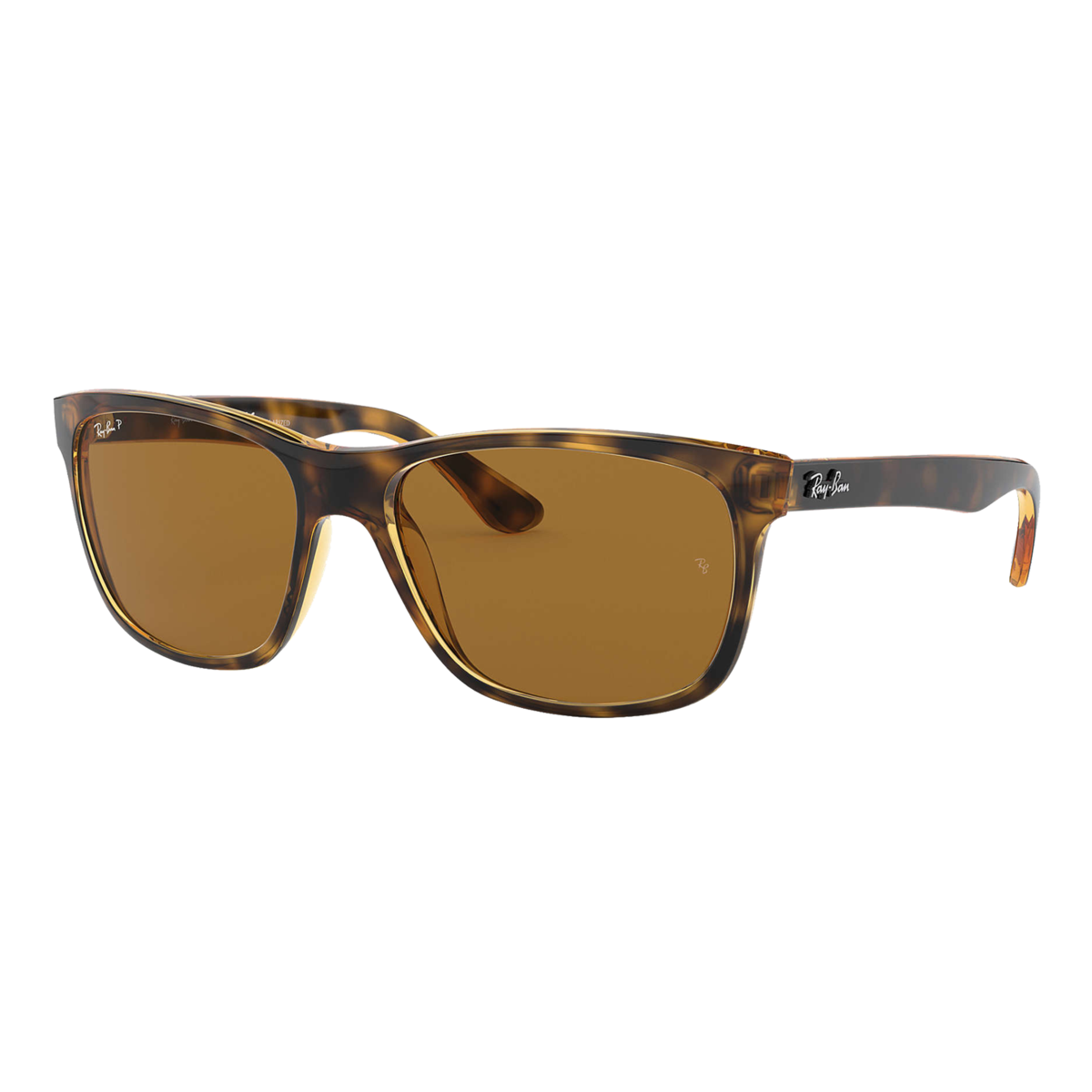 Polarized RB4181 Sunglasses