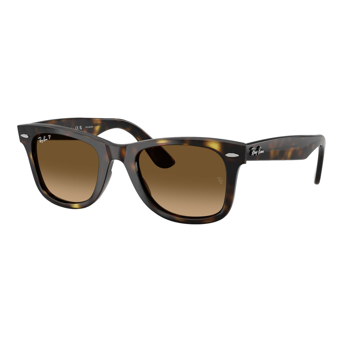 Polarized Wayfarer Ease Sunglasses