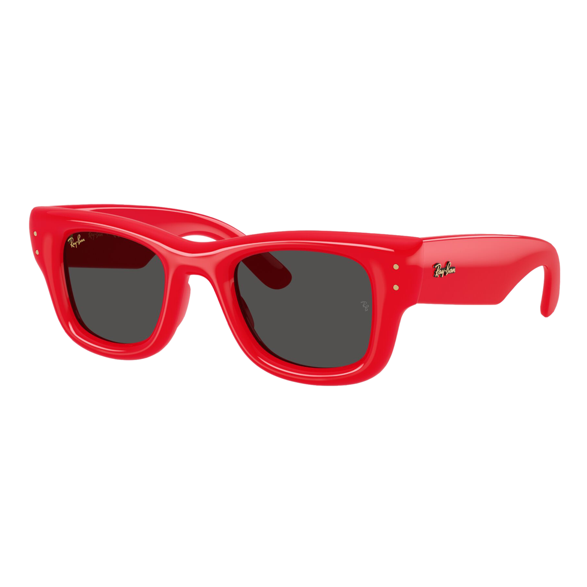 Wayfarer Puffer Sunglasses