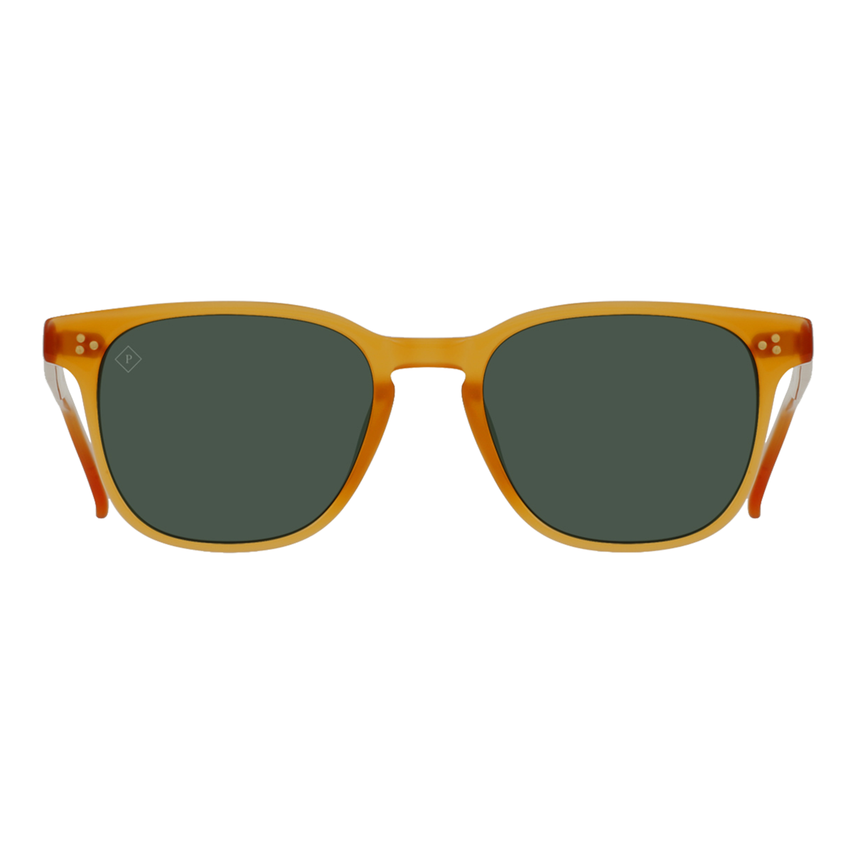 Polarized Alvez Sunglasses