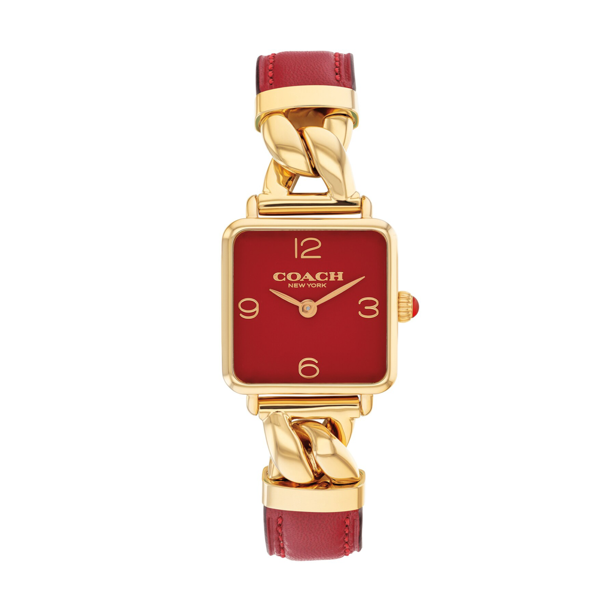 Women's Cass Watch