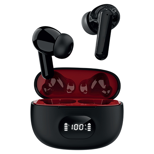 Dual-Mic True Wireless Noise Cancelling Earbuds, Black