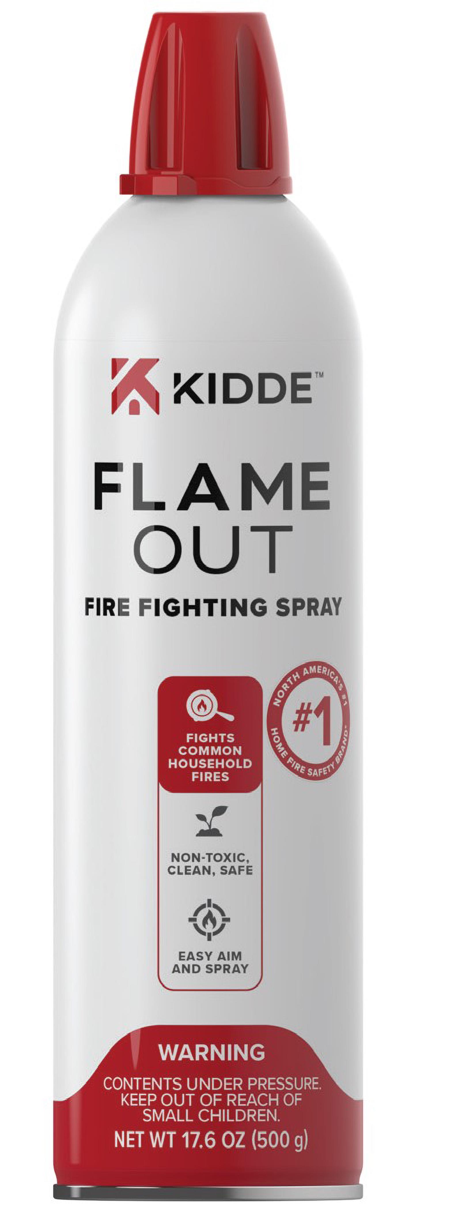 Flame Out fire Fighting Spray (must order a minimum of 6 cans)