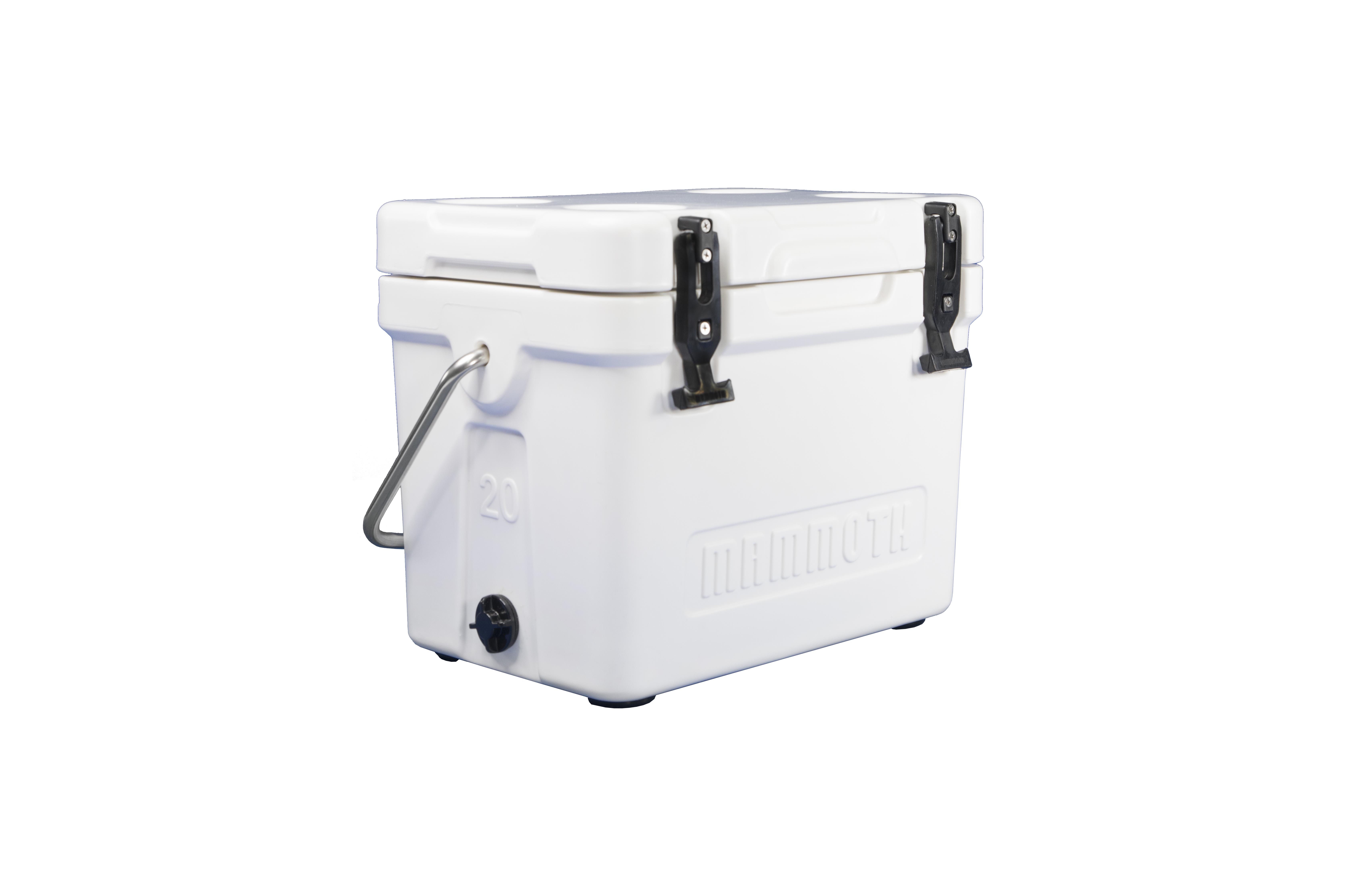 Cruiser 20 - White