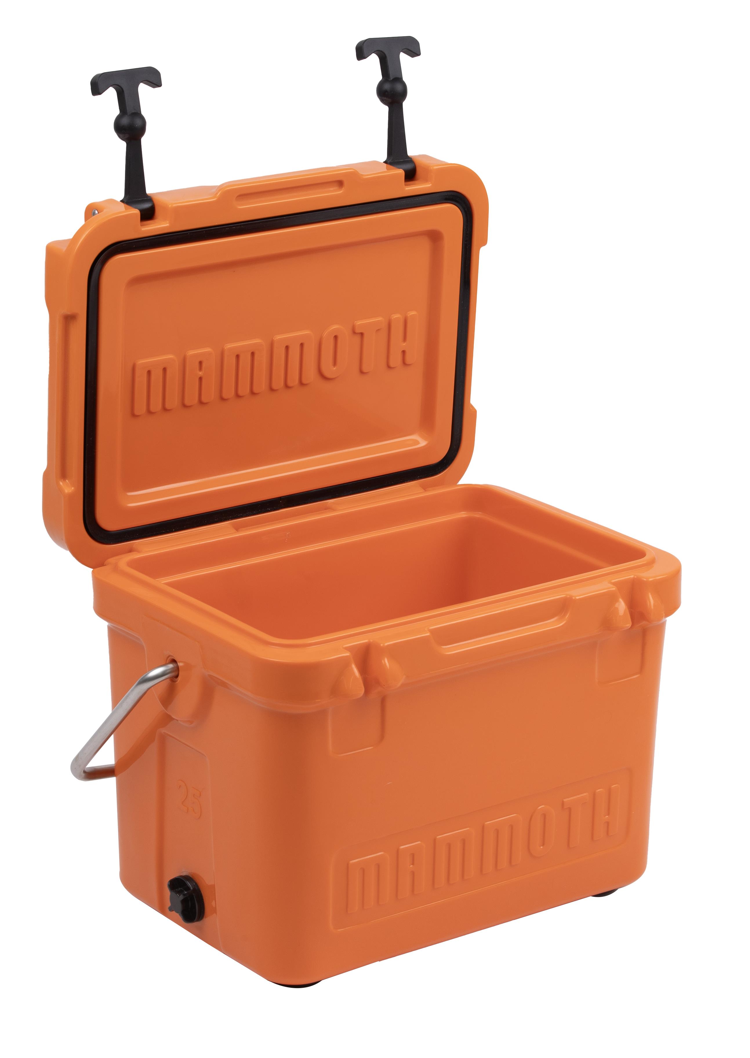 Cruiser 25 - Orange