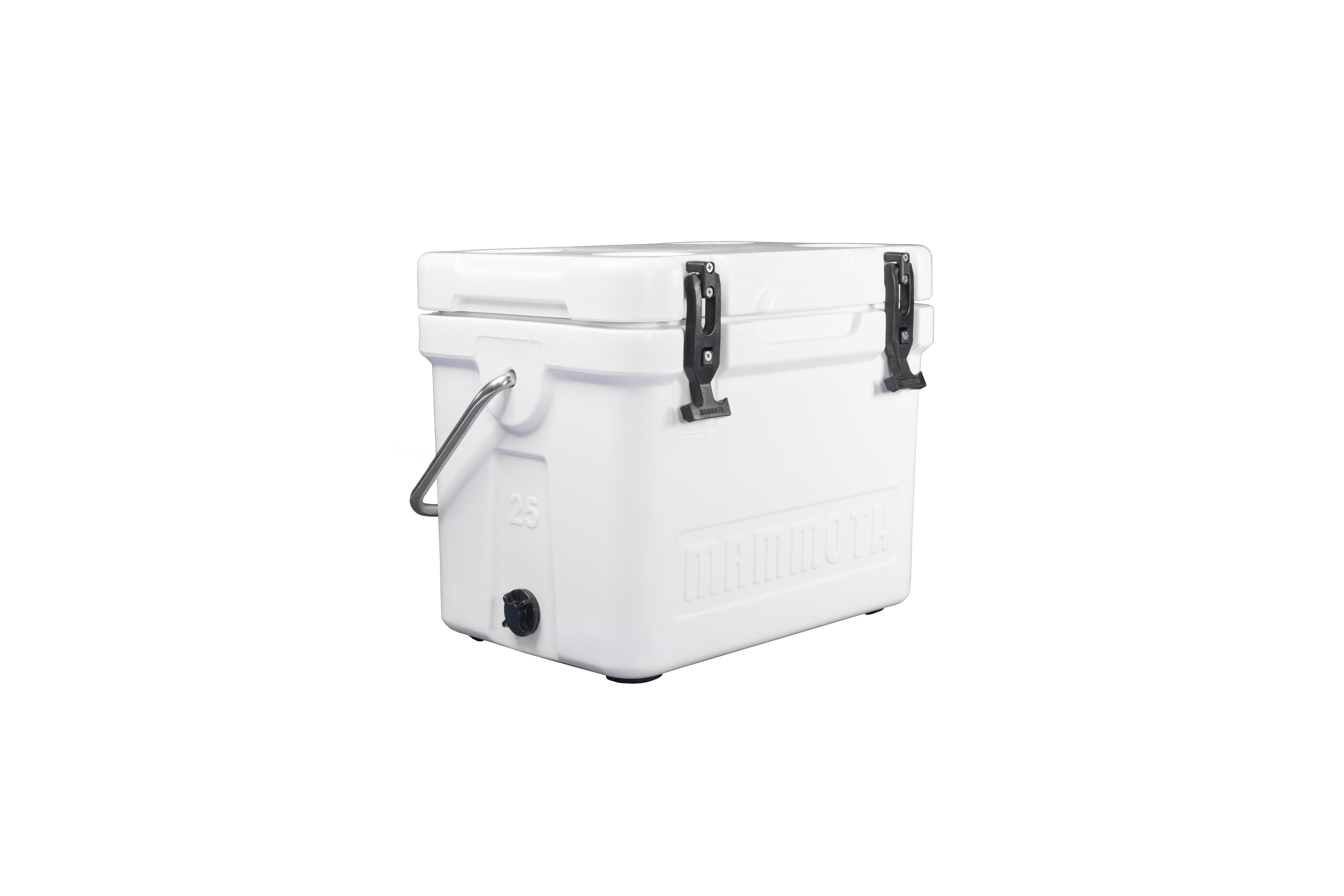Cruiser 25 - White