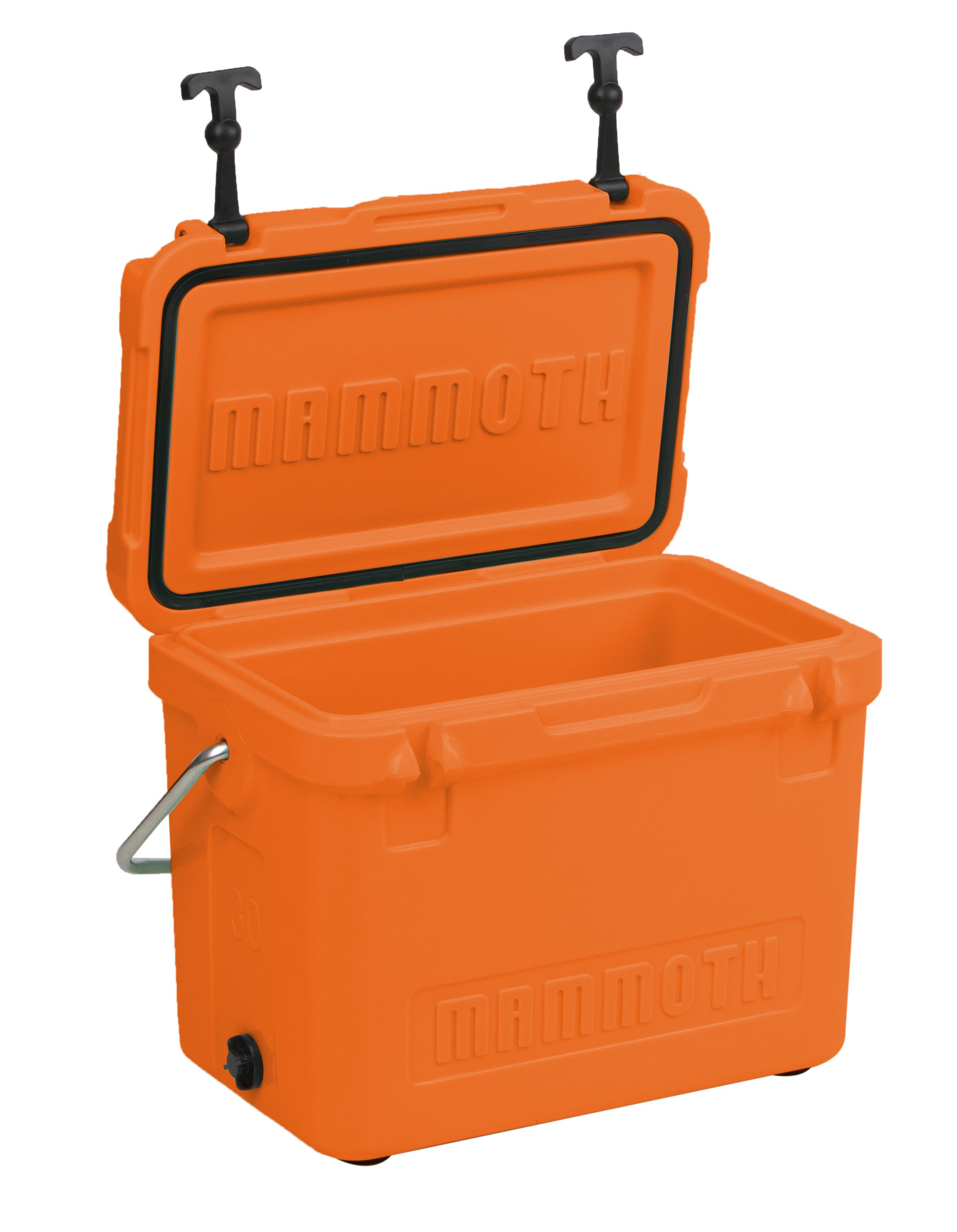 Cruiser 30 - Orange