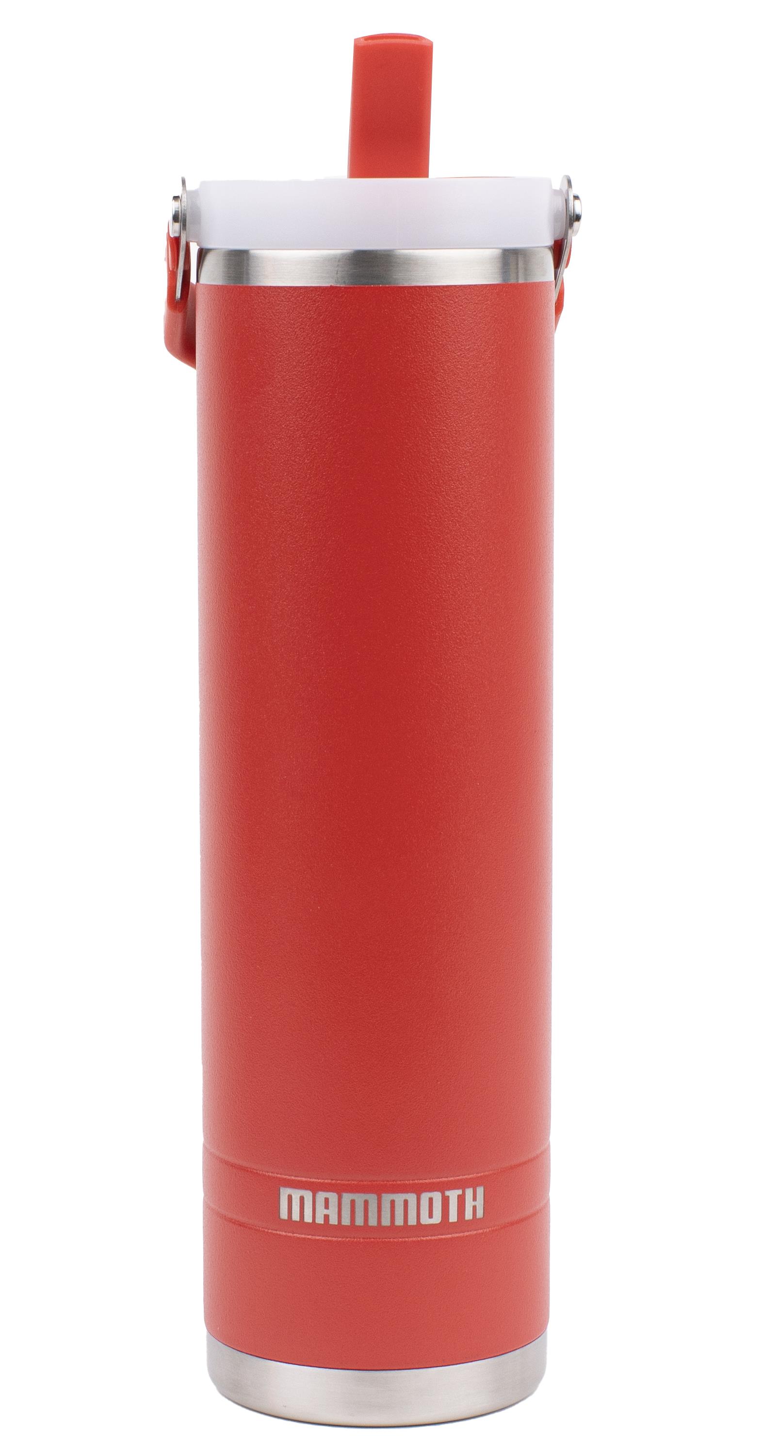 Ascent 20 oz. Tumbler - Red