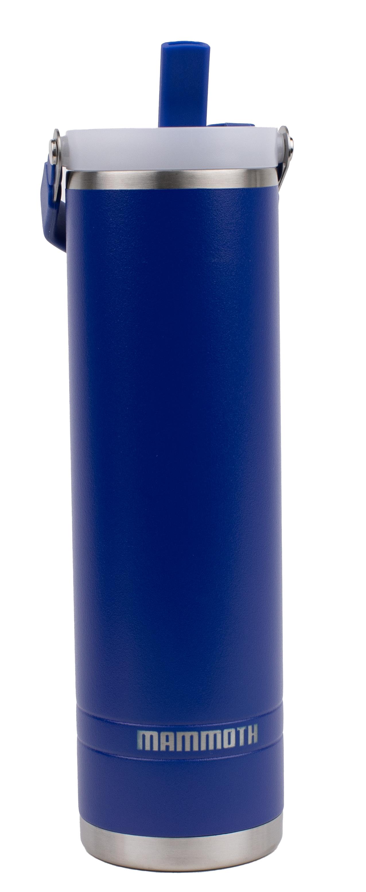 Ascent 20 oz. Tumbler - Royal Blue
