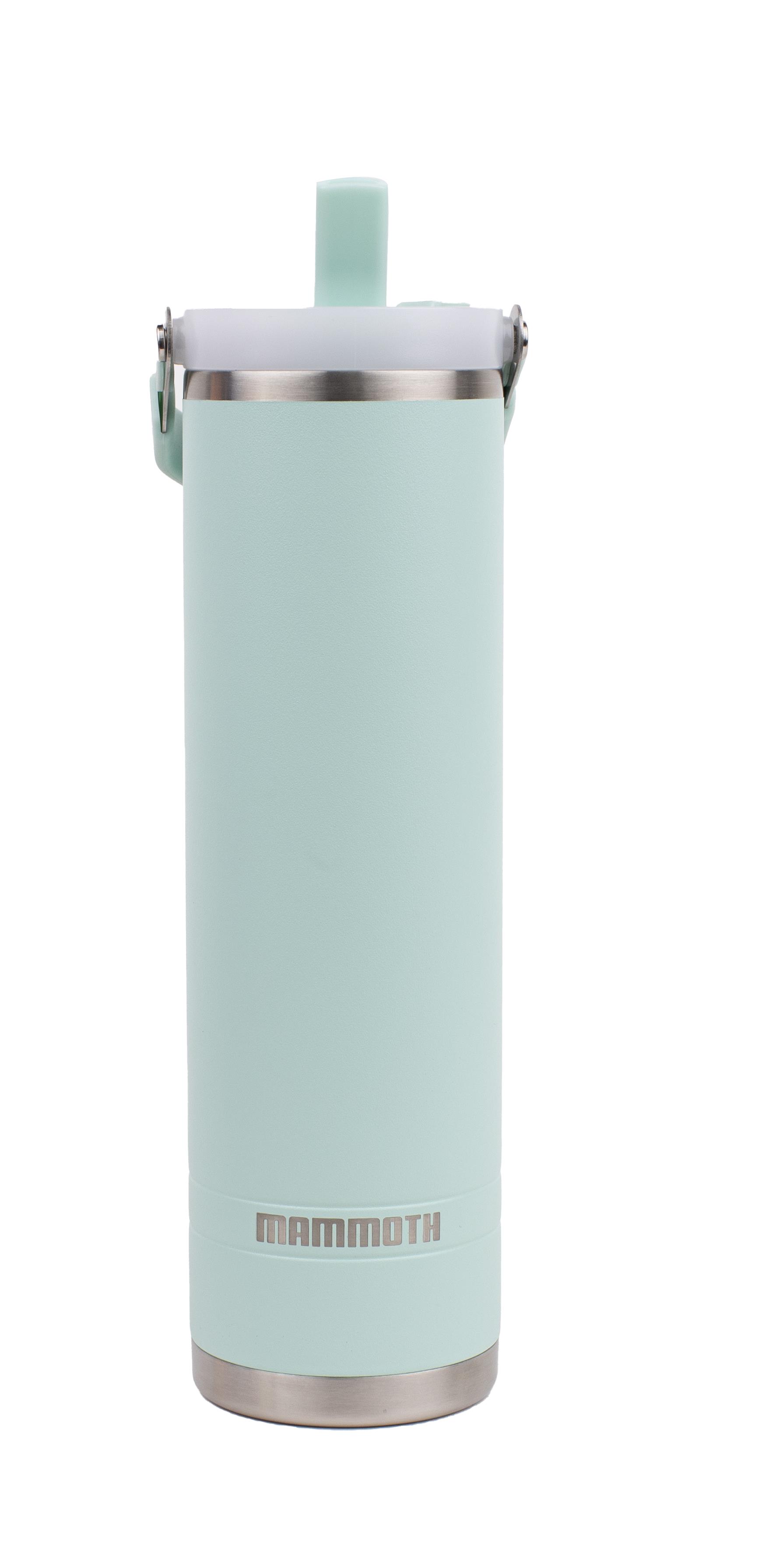 Ascent 20 oz. Tumbler - Seafoam