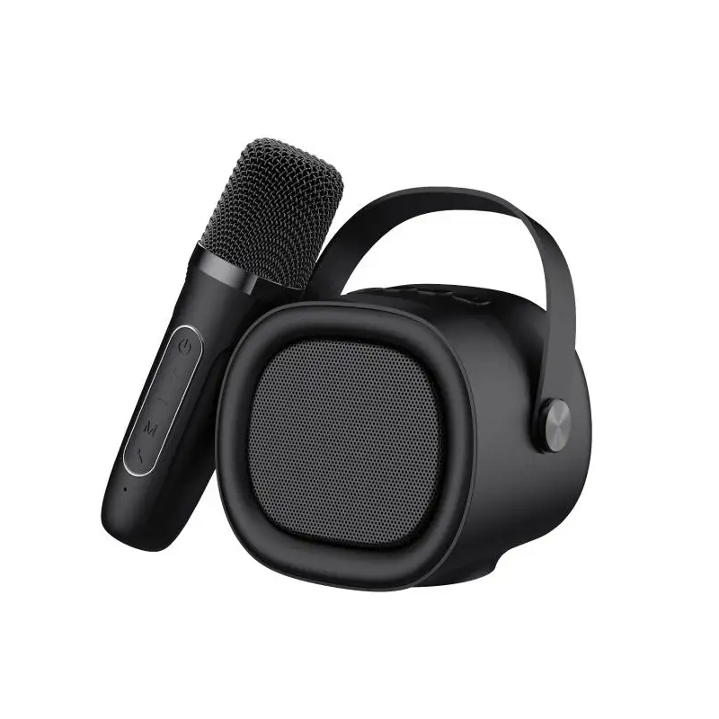 Havit SK819BT Portable Mini Karaoke Wireless Bluetooth V5.3 Speaker with Micphone_Black Color