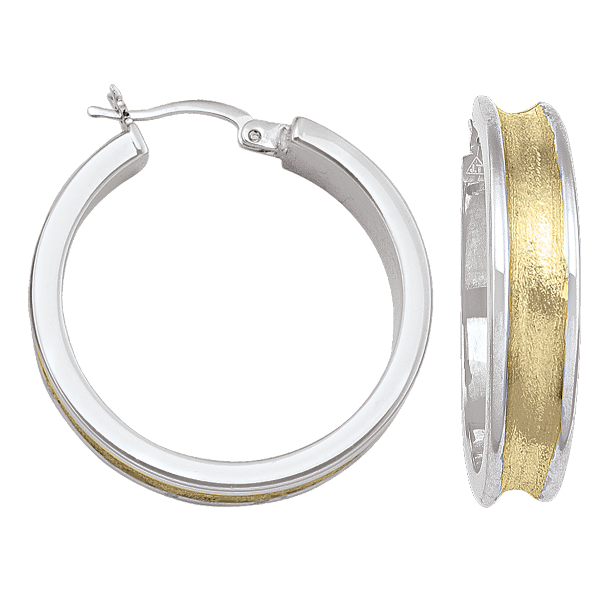 Two Tone Fancy Hoop Earring