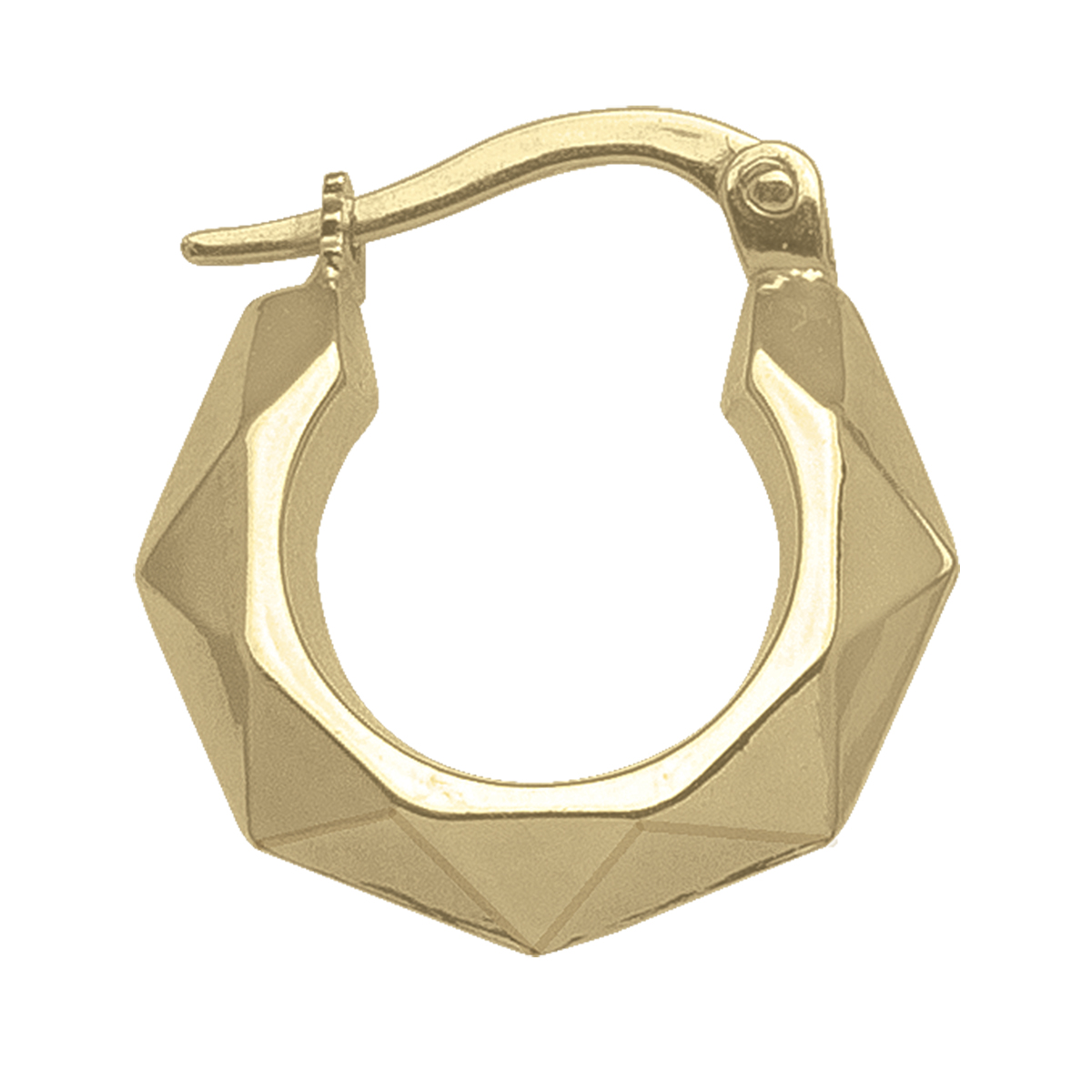 Yellow Gold Fancy Hoop Earring