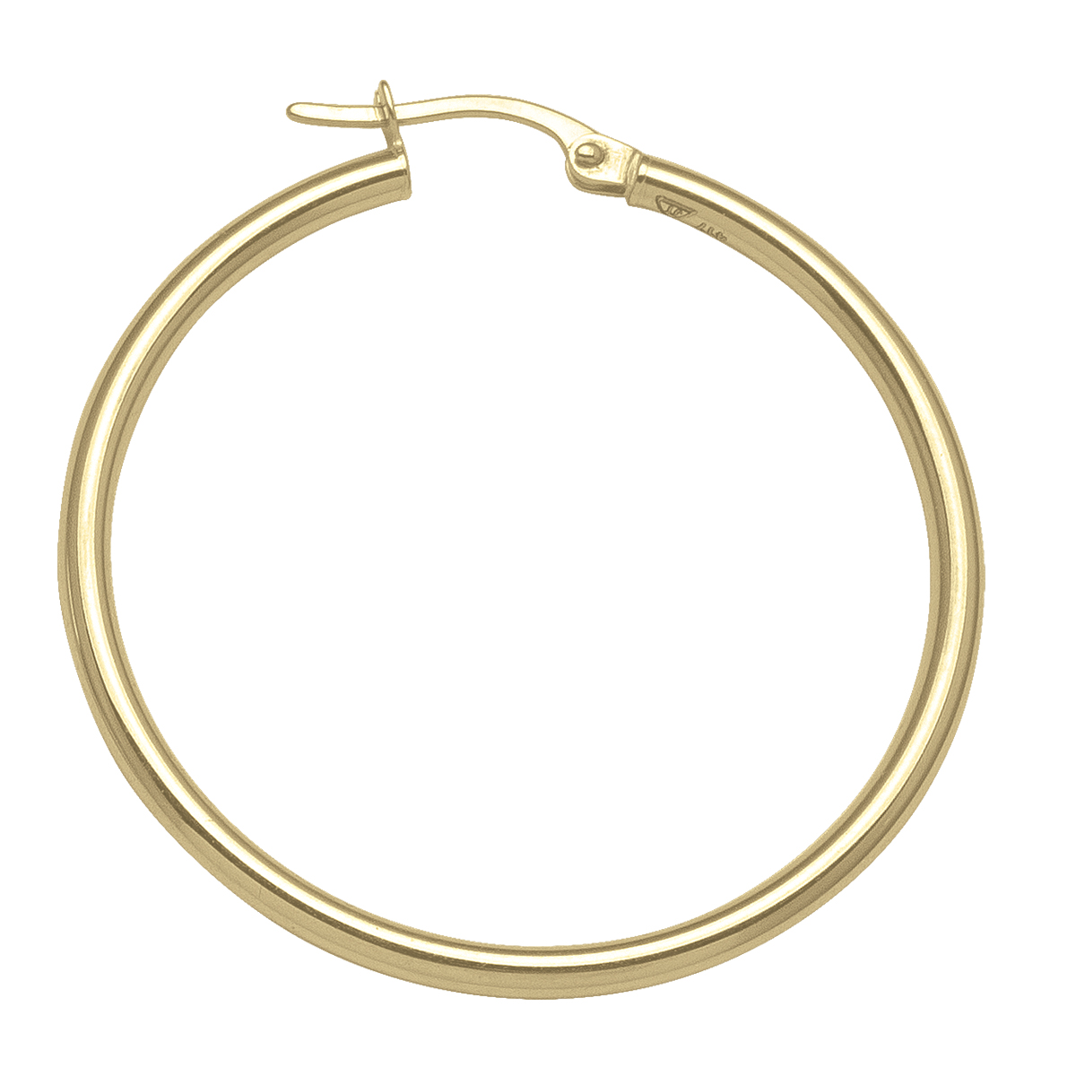 Yellow Gold High Polish Plain 2Mm Tube Hoop Earring - 10K