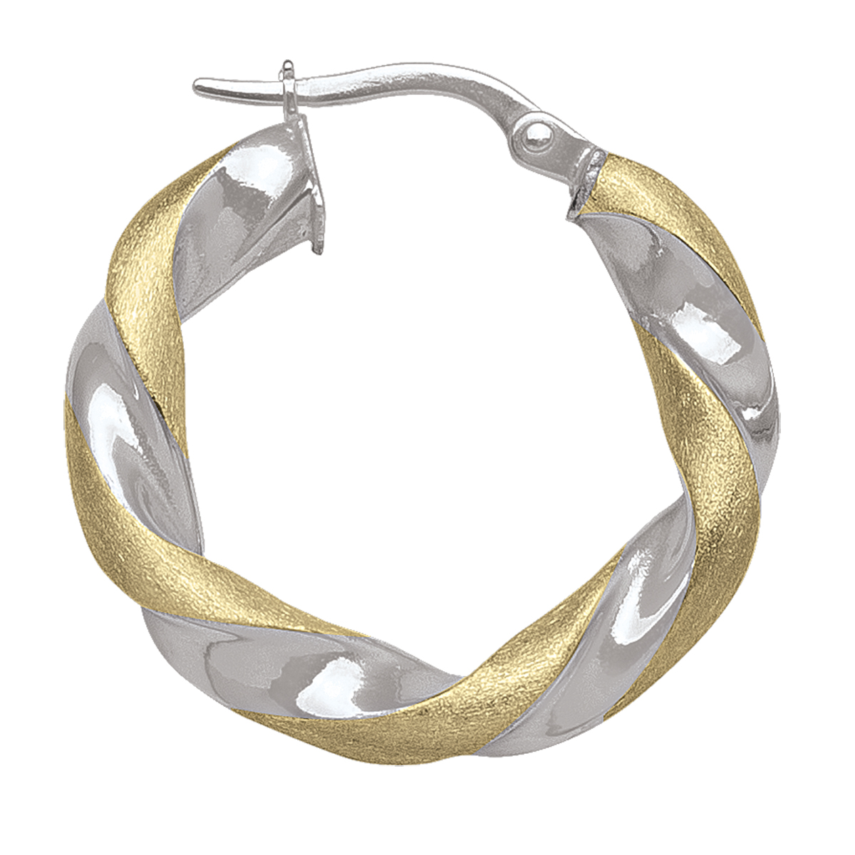 Two Tone Twisted Hoop Earring