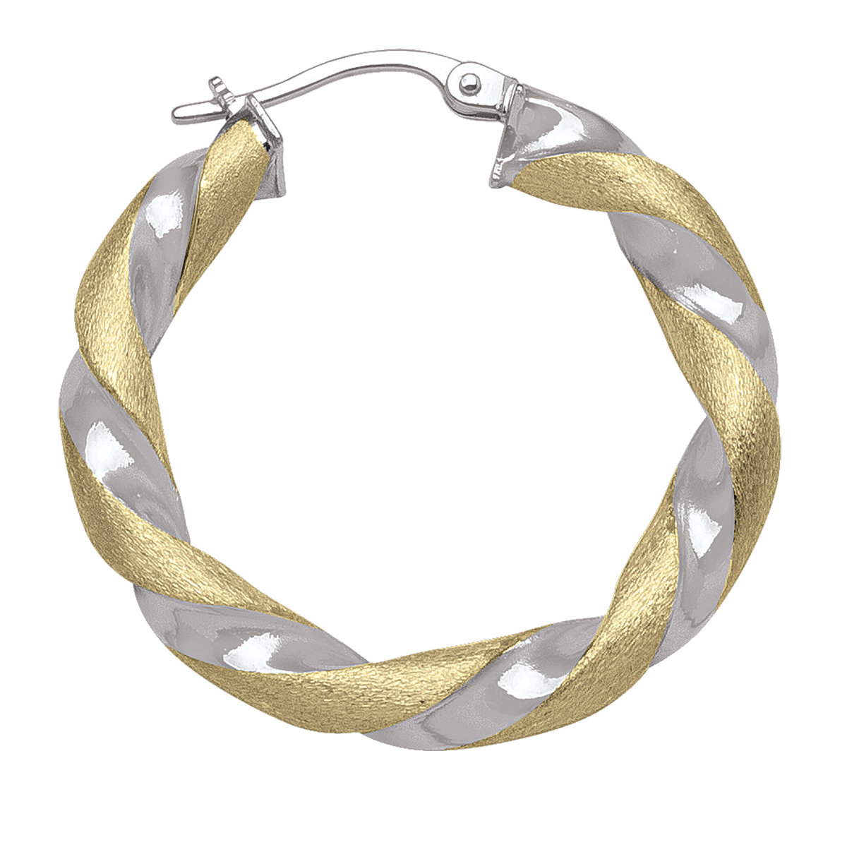Two Tone Twisted Hoop Earring