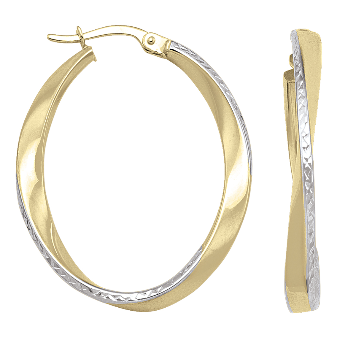 Two Tone Fancy Oval Hoop Earring