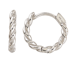 Teca289-Wg Twisted Hoop