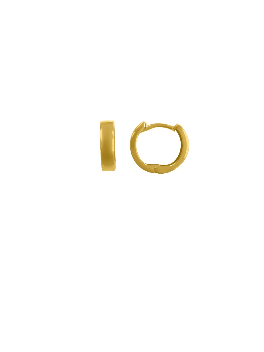 Ts11