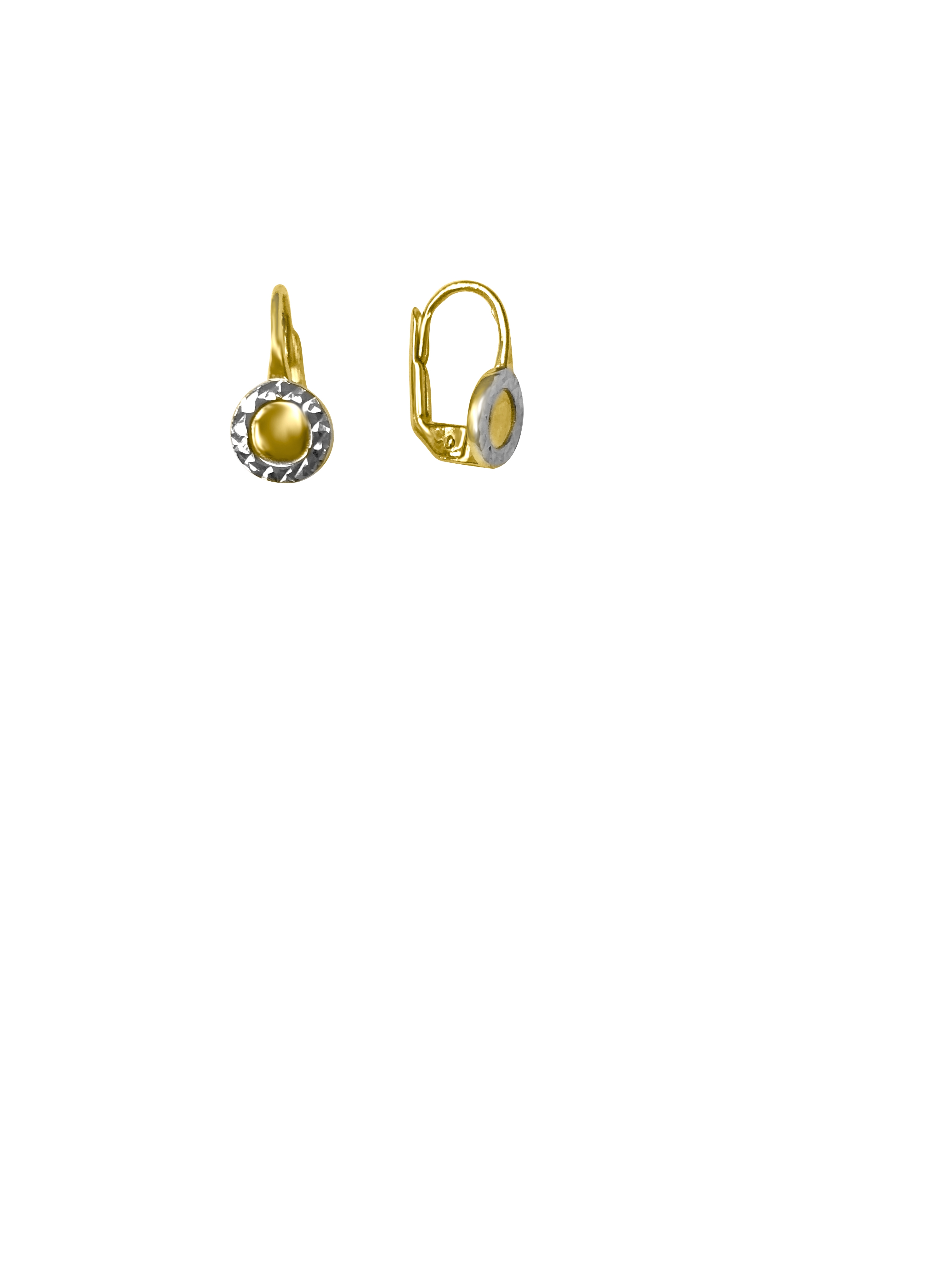 Two Tone Circle Drop Earring