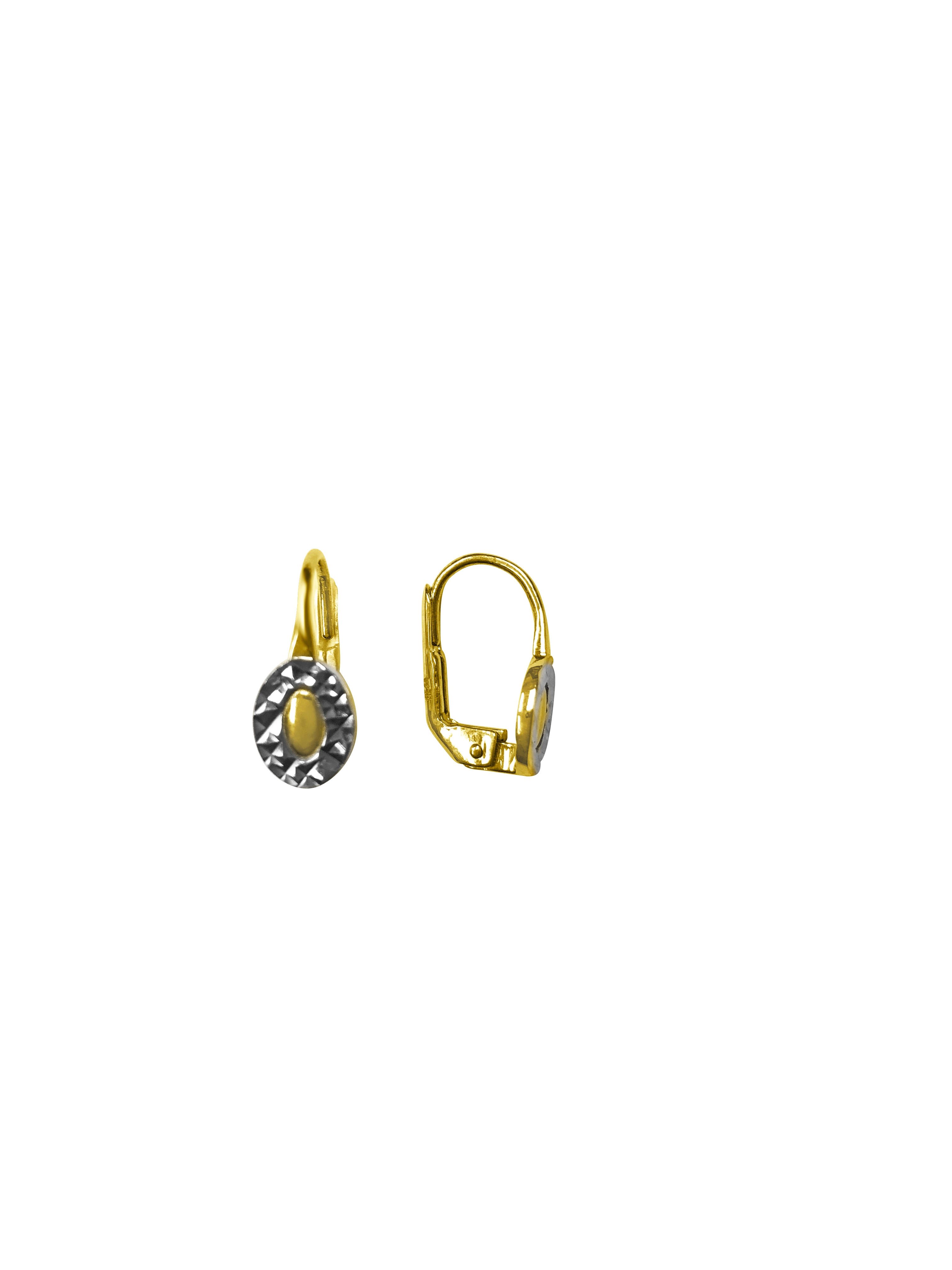 Two Tone Oval Drop Earring