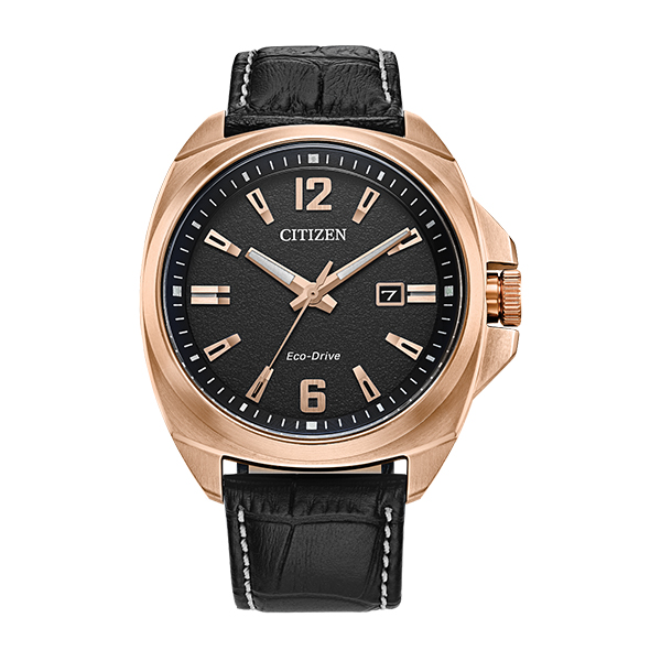 AW1723-02E Watch Endicott