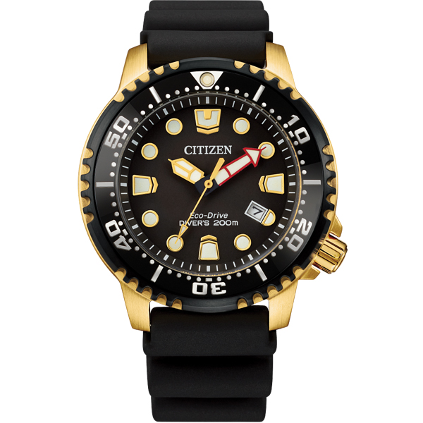 BN0152-06E Watch Professional Diver