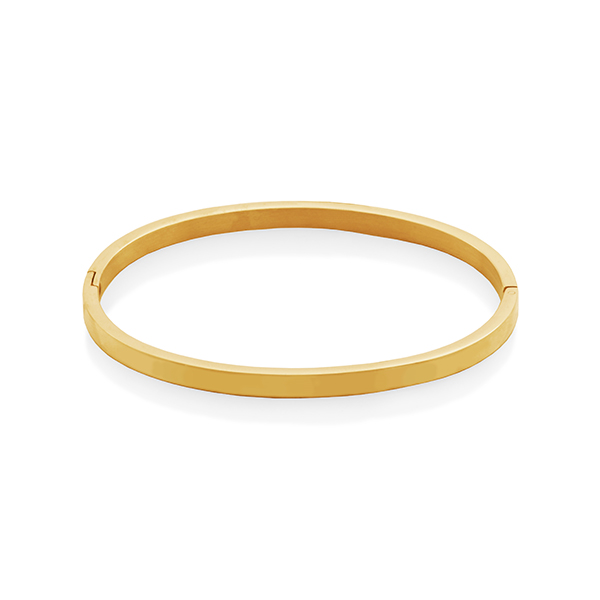 CJ Steelx Bangle with Hinge Closure - Gold