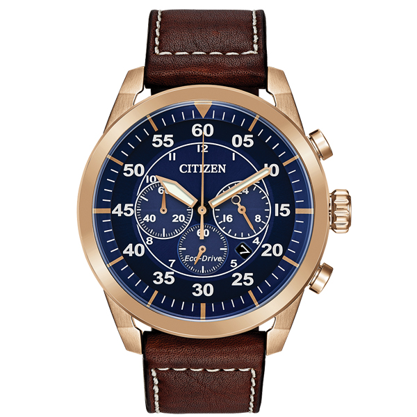 CA4213-18L Watch Avion