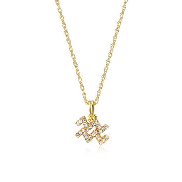 Diamondlite Cubic Zirconia Aquarius Zodiac Rope Necklace - Gold