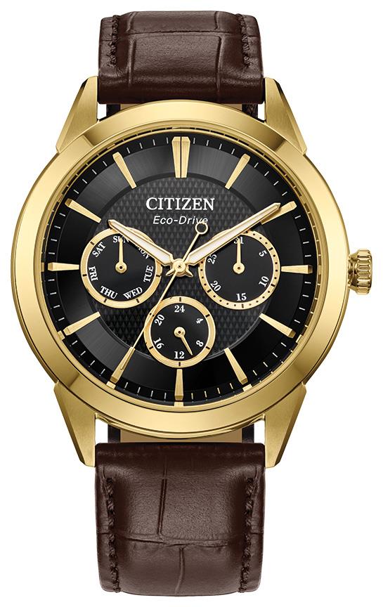 Men's Rolan Eco-Drive Leather Strap watch, Black dial