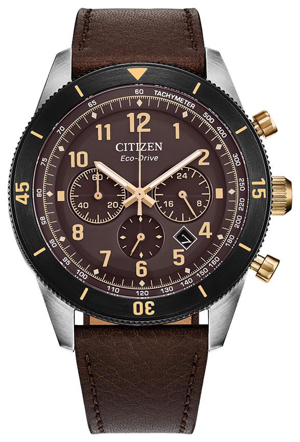 Men's Eco-Drive Terra Force Leather Strap watch, Brown dial